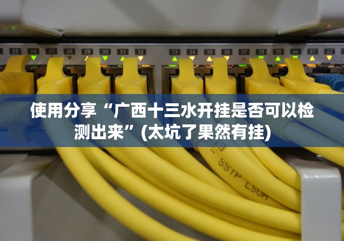 使用分享“广西十三水开挂是否可以检测出来”(太坑了果然有挂) 使用分享“广西十三水开挂是否可以检测出来”(太坑了果然有挂)