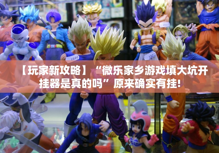 【给大家科普一下】“链接上决战十三水必赢神器”(果然有透视挂) 【给大家科普一下】“链接上决战十三水必赢神器”(果然有透视挂)