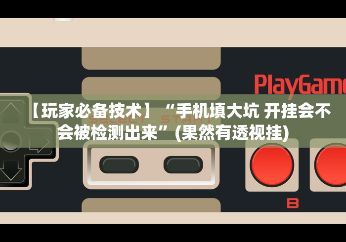 【玩家必备技术】“手机填大坑 开挂会不会被检测出来”(果然有透视挂)