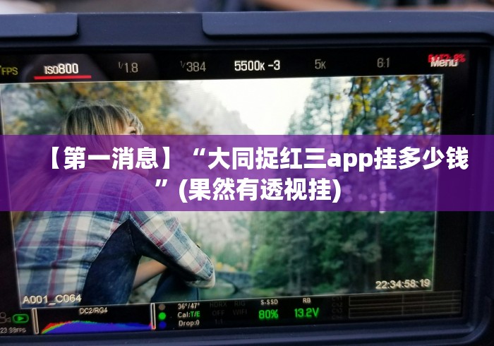 【第一消息】“大同捉红三app挂多少钱”(果然有透视挂)