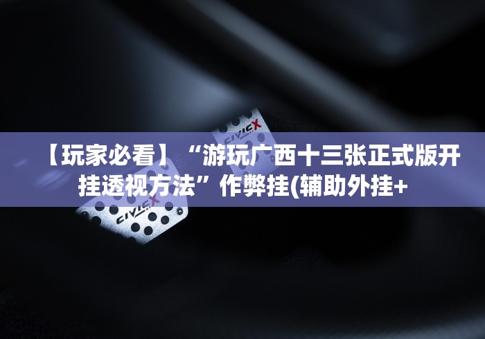 【玩家必看】“游玩广西十三张正式版开挂透视方法”作弊挂(辅助外挂+