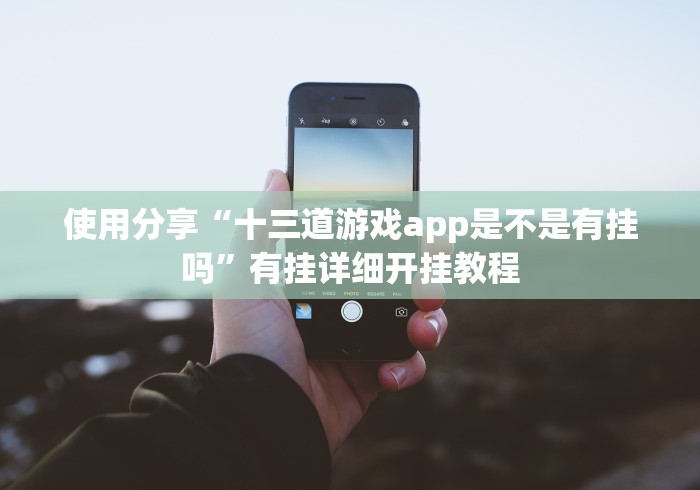 使用分享“十三道游戏app是不是有挂吗”有挂详细开挂教程
