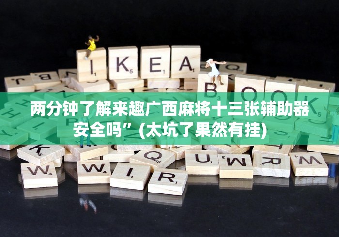 两分钟了解来趣广西麻将十三张辅助器安全吗”(太坑了果然有挂)