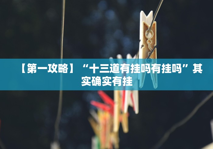 【第一攻略】“十三道有挂吗有挂吗”其实确实有挂