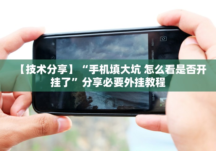 【技术分享】“手机填大坑 怎么看是否开挂了”分享必要外挂教程