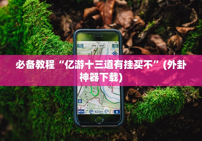 必备教程“亿游十三道有挂买不”(外卦神器下载)