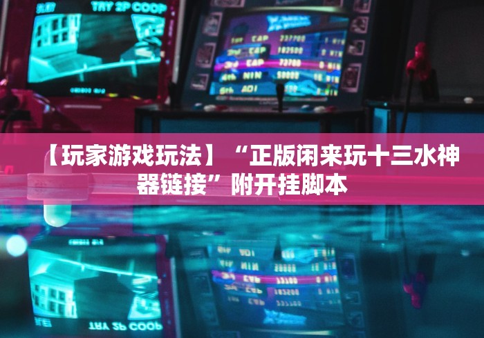 【玩家游戏玩法】“正版闲来玩十三水神器链接”附开挂脚本