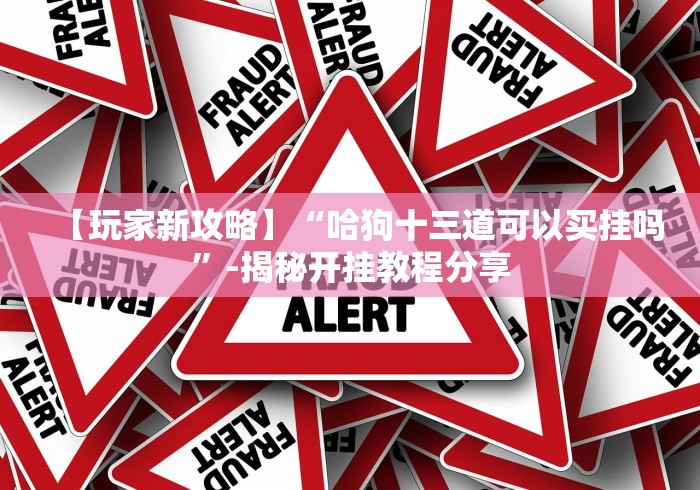 【玩家新攻略】“哈狗十三道可以买挂吗”-揭秘开挂教程分享