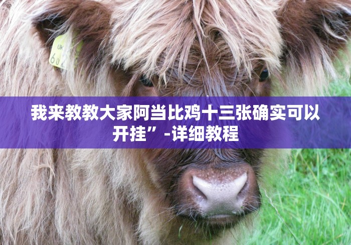 我来教教大家阿当比鸡十三张确实可以开挂”-详细教程