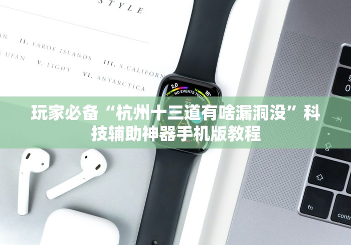 玩家必备“杭州十三道有啥漏洞没”科技辅助神器手机版教程