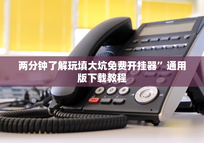 两分钟了解玩填大坑免费开挂器”通用版下载教程