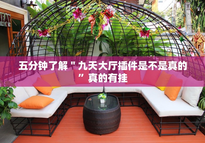 五分钟了解＂九天大厅插件是不是真的”真的有挂