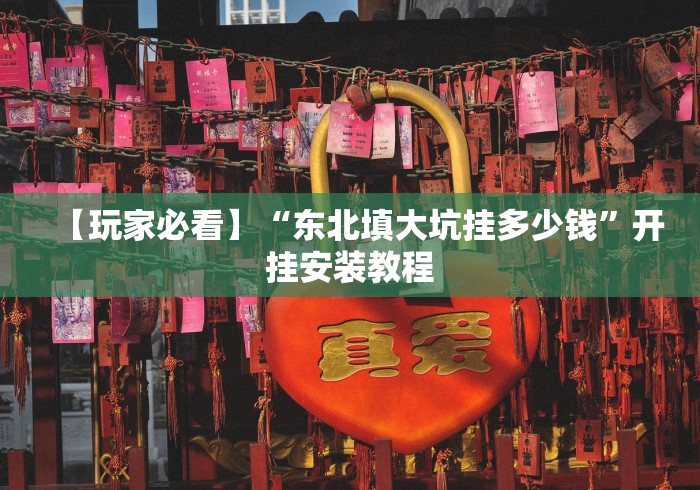 【玩家必看】“东北填大坑挂多少钱”开挂安装教程