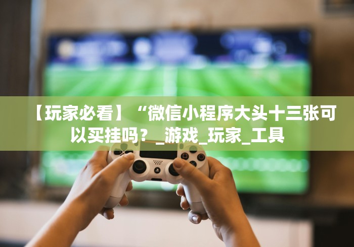 【玩家必看】“微信小程序大头十三张可以买挂吗？_游戏_玩家_工具