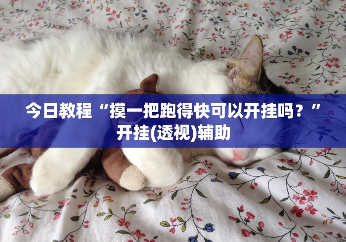 今日教程“摸一把跑得快可以开挂吗？”开挂(透视)辅助