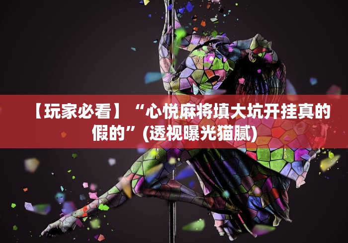 【玩家必看】“心悦麻将填大坑开挂真的假的”(透视曝光猫腻)