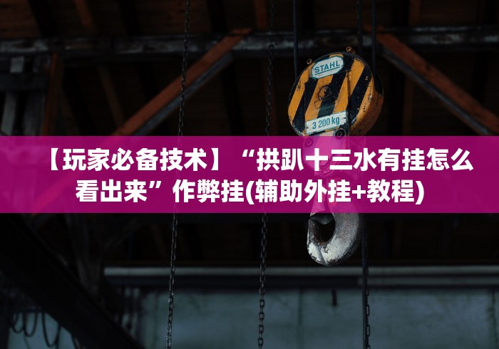 【玩家必备技术】“拱趴十三水有挂怎么看出来”作弊挂(辅助外挂+教程)