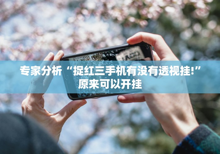 专家分析“捉红三手机有没有透视挂!”原来可以开挂 专家分析“捉红三手机有没有透视挂!”原来可以开挂