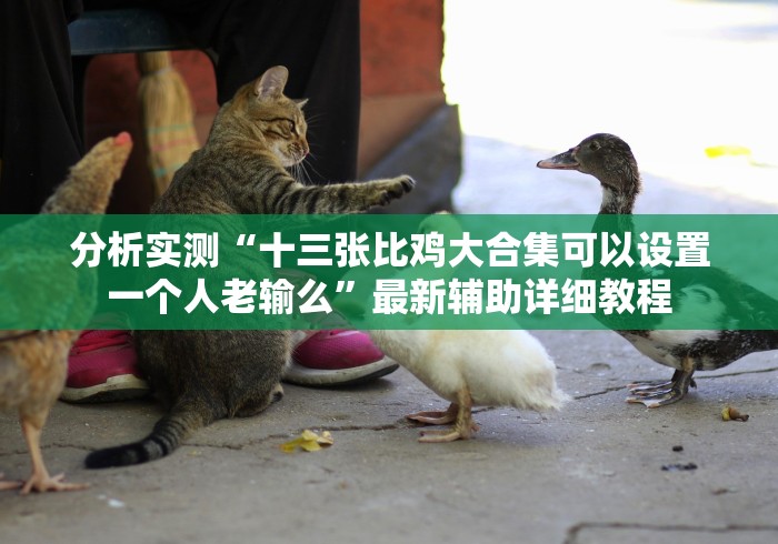 分析实测“十三张比鸡大合集可以设置一个人老输么”最新辅助详细教程 分析实测“十三张比鸡大合集可以设置一个人老输么”最新辅助详细教程