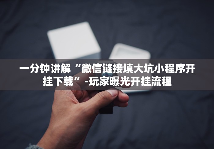 一分钟讲解“微信链接填大坑小程序开挂下载”-玩家曝光开挂流程