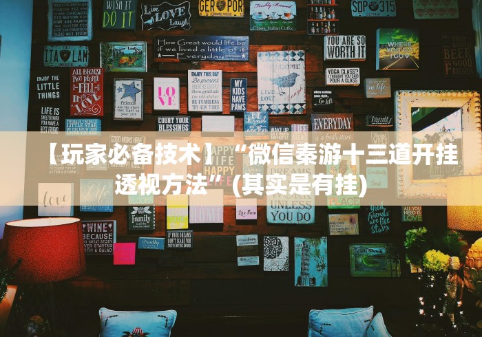 【玩家必备技术】“微信秦游十三道开挂透视方法”(其实是有挂)