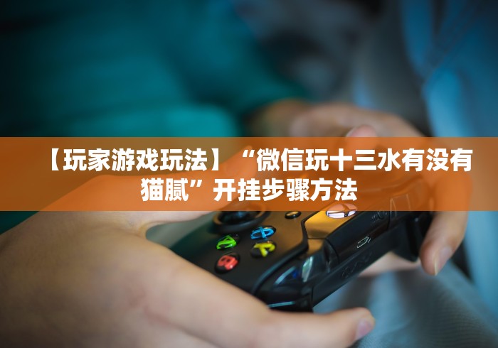 【玩家游戏玩法】“微信玩十三水有没有猫腻”开挂步骤方法