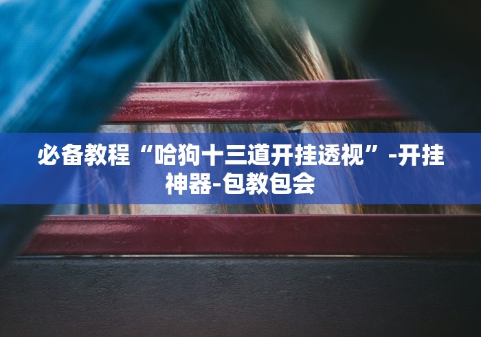 必备教程“哈狗十三道开挂透视”-开挂神器-包教包会