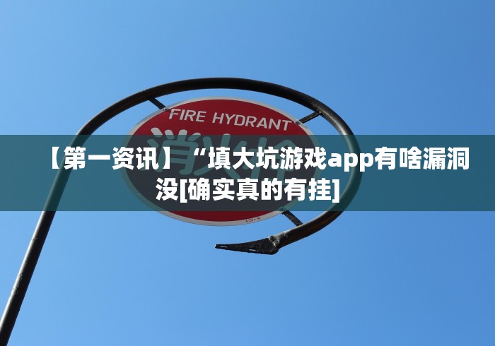 【第一资讯】“填大坑游戏app有啥漏洞没[确实真的有挂]