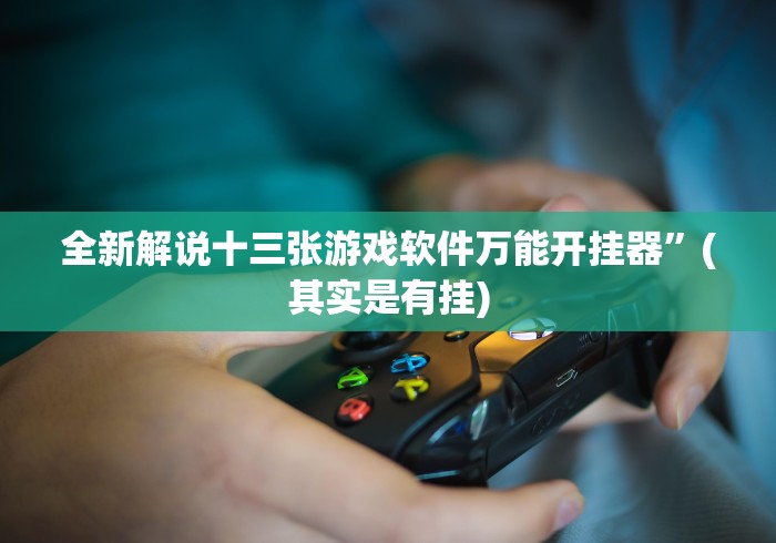 全新解说十三张游戏软件万能开挂器”(其实是有挂)